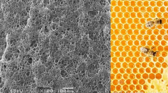 epp發泡聚丙烯的顯微結構，可以看到這是種連續閉孔結構，類似于蜂窩
